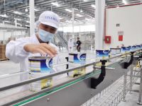 Đua xuất ngoại sữa Việt