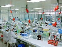 Sau 2 quý giảm liên tiếp, lãi ròng của Dược Hậu Giang tăng trở lại