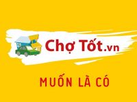Chợ Tốt bổ nhiệm nữ CEO người Việt