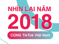 TikTok 2018 - Một năm nhìn lại những xu hướng và trào lưu nổi bật nhất tại Việt Nam