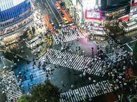 Thời trang thế giới năm 2019 sẽ ra sao?