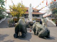 Tê giác, voi quỳ kêu cứu ở sân chùa Vĩnh Nghiêm, Minh Đăng Quang