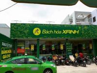 Bách Hóa Xanh có thể tiến ra Bắc, sẽ có lãi tại cửa hàng vào cuối năm