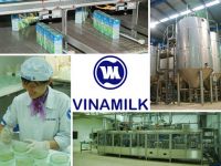 Cuộc chinh phục mới của Vinamilk