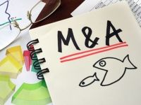 Bứt phá M&A: Tháo nút thắt chính sách