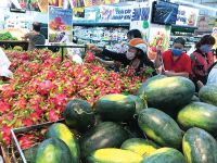 EVFTA buộc doanh nghiệp Việt Nam phải đi theo cuộc chơi mới