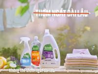 “Dám nói thật” – cách thương hiệu giành lấy niềm tin khách hàng bằng ý tưởng quảng cáo táo bạo