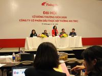 Sẽ sáp nhập Tường An và Vocarimex vào KIDO