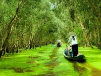 Du lịch chỉ còn trông chờ thị trường nội địa