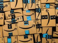 Amazon: Cây cao hứng gió lớn