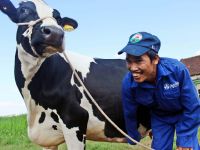 Về với Vinamilk, Sữa Mộc Châu báo lãi nửa đầu năm tăng 41% lên 106 tỷ đồng