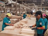 Hơn 13.000 doanh nghiệp thành lập mới trong tháng 7/2020