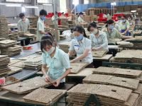 Số doanh nghiệp tạm ngừng kinh doanh tăng cao