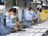 Hơn 8.000 doanh nghiệp mới ra đời trong tháng Tết