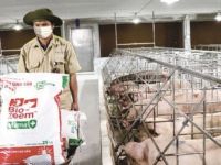 VCSC: Masan thoái vốn khỏi mảng thức ăn chăn nuôi để tập trung vào mảng tiêu dùng