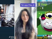4 bài học “vỡ lòng” cho doanh nghiệp SME khi gia nhập cộng đồng quảng cáo TikTok