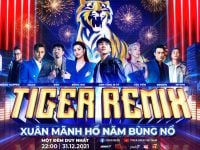 Tiger Remix 2022 đã trở lại và sẵn sàng công phá những kỷ lục của chính mình