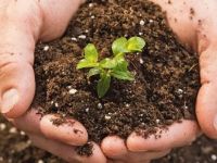Lợi nhuận doanh nghiệp phân bón ra sao sau năm lãi kỷ lục?