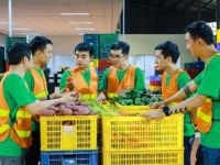 Founder Koina: Tìm đồng đội 1 tháng, mua nông sản bị lừa và cột mốc 1.000 tấn hàng/tháng