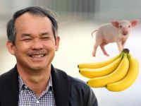 Thập kỷ làm nông nghiệp gian nan của bầu Đức: Xoay chuyển không ngừng, sau chuối – heo sẽ là gì?