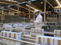Vinamilk: Doanh thu năm 2022 giảm nhẹ so với năm 2021