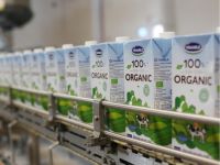 Vinamilk: Doanh thu quý I/2023 đạt 22% kế hoạch năm, quý II và III dự kiến sẽ khởi sắc