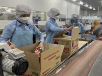 Orion tăng trưởng doanh thu 2 chữ số, chiếm thêm thị phần nhờ không tăng giá