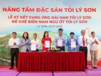 Masan hợp tác mua dài hạn tỏi Lý Sơn