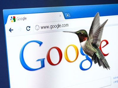 Social Media Marketers làm gì để “sống khỏe” với Chim ruồi?