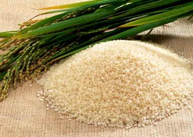 Sau đại chiến mì ăn liền, bùng nổ mì gạo?