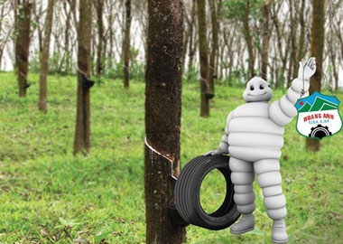 Mon men bên những người khổng lồ