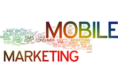 Đo lường chỉ số ROI của một chiến dịch Mobile Marketing