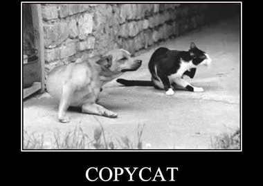 Copy-cat