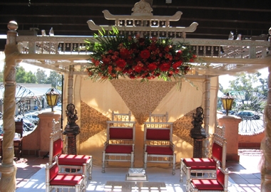 Dựng backdrop sống động