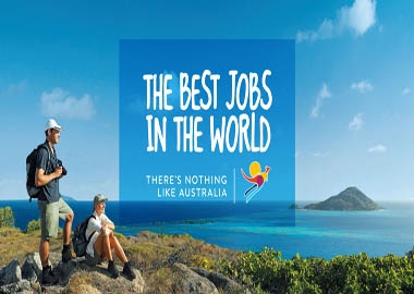 Phân tích campaign: The Best Jobs in the World