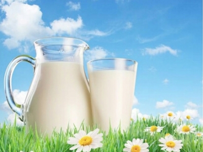 [Báo cáo] Ngành Sữa: Người dùng và Hoạt động Quảng cáo Trực tuyến