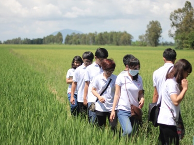 Sinh viên Việt phân tích nghịch lý hạt gạo Việt