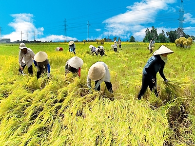 Thị trường nông thôn: Khôn sẽ thắng