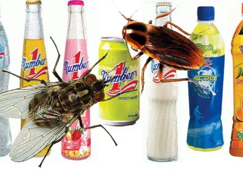 Vụ thanh tra một ngày THP: Không đủ điều kiện để tin cậy