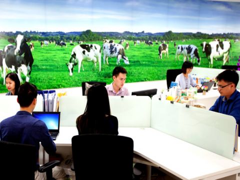 Vinamilk đứng thứ 2 trong Top 100 nơi làm việc tốt nhất Việt Nam