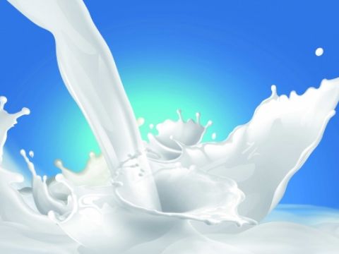 Hanoimilk “đón rể” Tiga Pilar