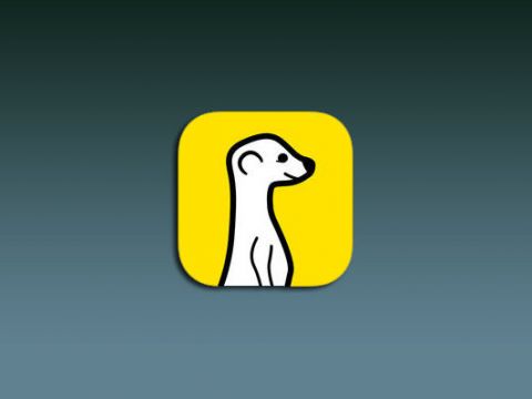 [Q&A] Meerkat - ‘Kẻ phá bĩnh’ đang tạo nên cơn sốt