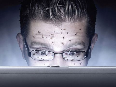 8 quảng cáo tệ hại trên Internet