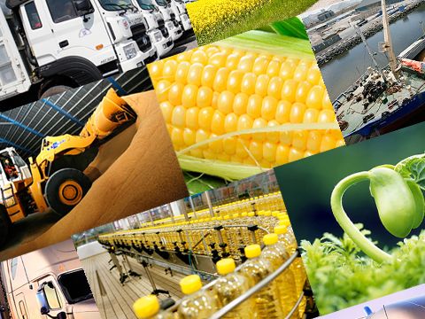 Nước cờ ngàn tỷ của nhóm công ty Quang Dũng