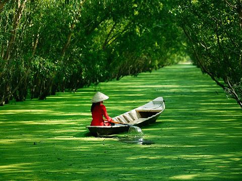 Thương hiệu du lịch Việt có bị bỏ quên?