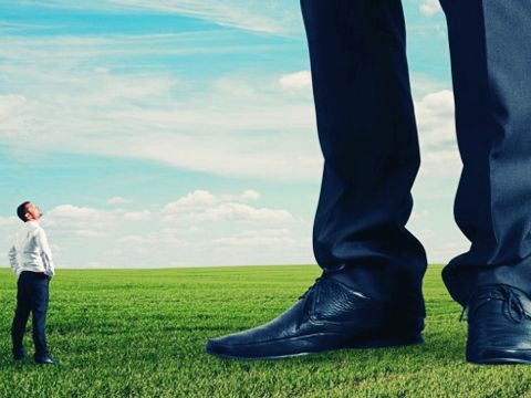 Những câu chuyện Châu chấu đá xe