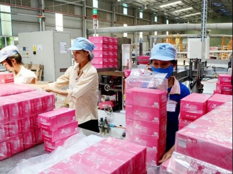 Thương vụ thâu tóm ngược cổ phần Nhật Bản ở Giấy Sài Gòn giờ ra sao?