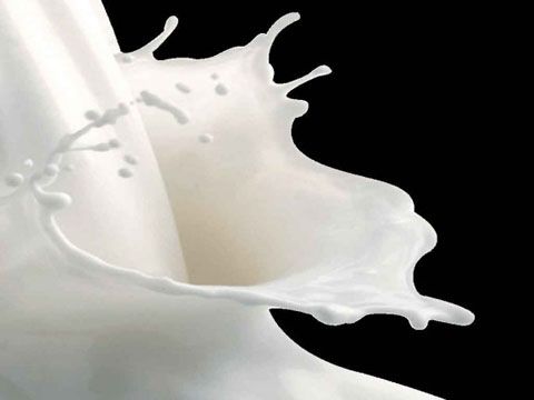 Thị trường sữa tươi nguyên liệu: Đấu trường tỷ đô