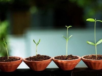 5 điều cần chuẩn bị trước khi khởi nghiệp