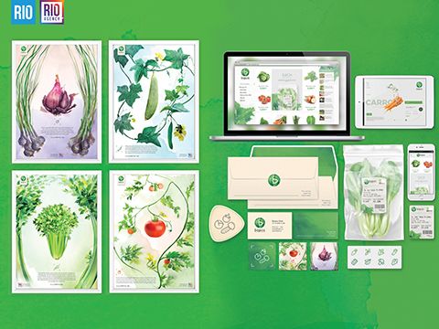 Marketing thị giác – Doanh nghiệp Việt xin đừng bỏ quên